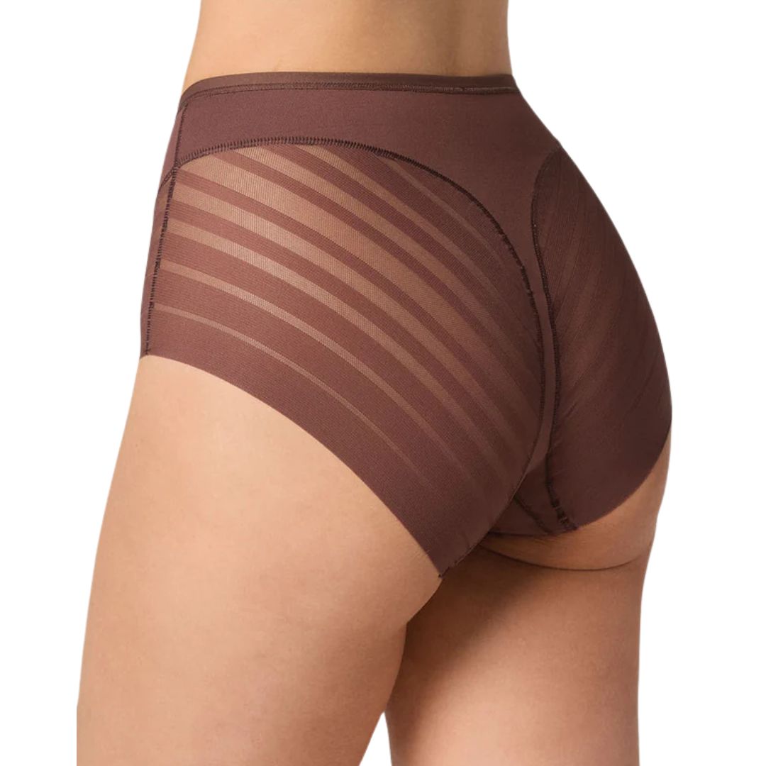 Lace Stripe Undetectable Slip | Braun